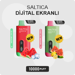 Saltica Digital